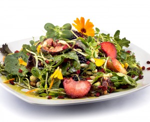 Green Sprout Salad - Raw Vegan and Gluten Free