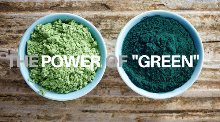 Protein reach food at raw vegan restaurant in Vancouver