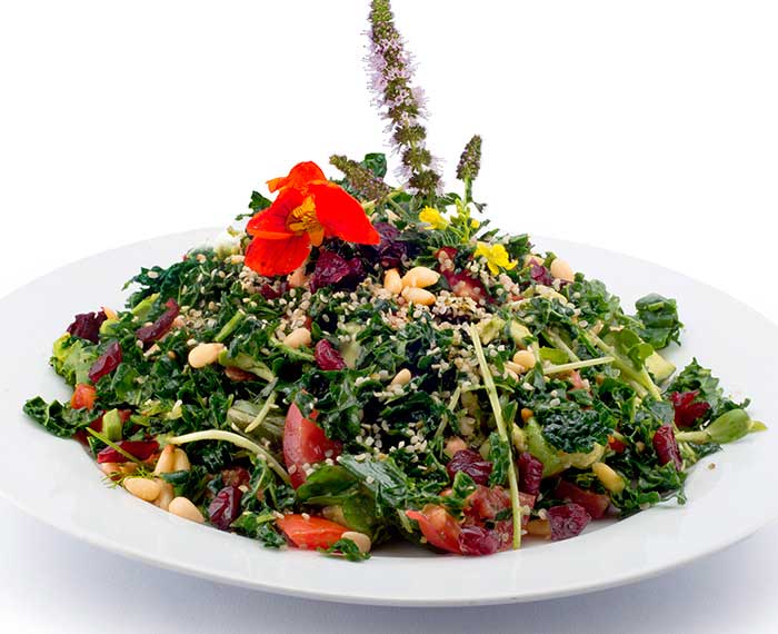Kale salad at Indigo Age Cafe - vegan restaurant