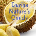 Indigo Age Cafe - Buy durian in Vancouver
