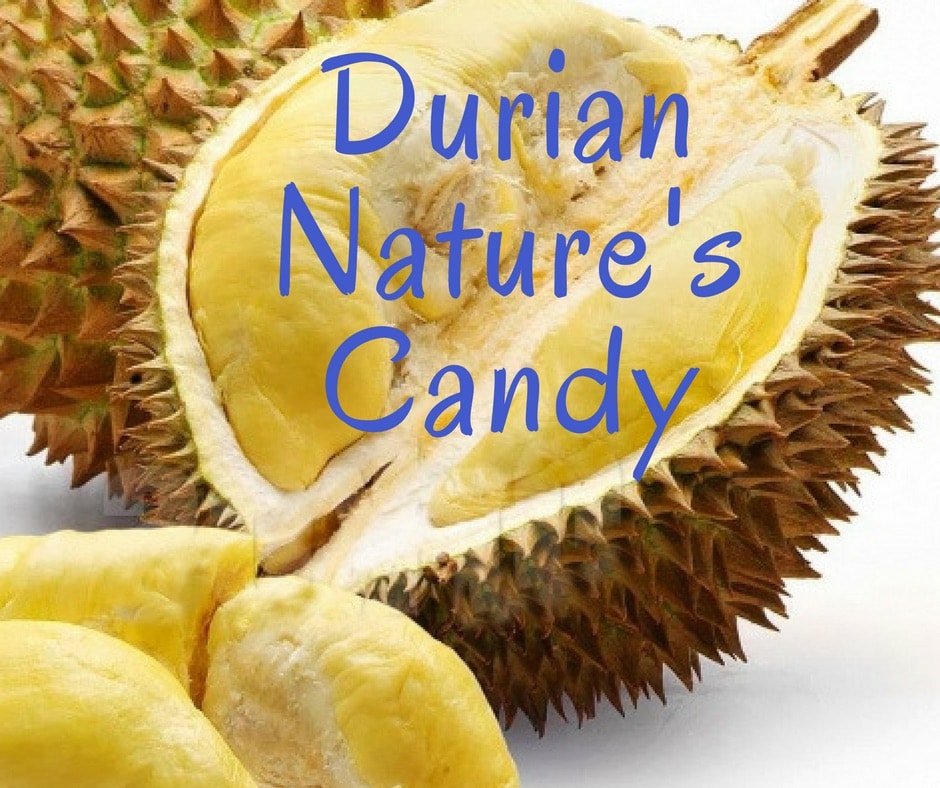 Indigo Age Cafe - Buy durian in Vancouver